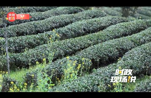 科特派 賦能農(nóng)業(yè)科技的堅實力量