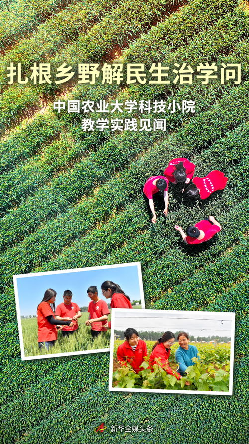 扎根鄉(xiāng)野解民生治學(xué)問 中國農(nóng)業(yè)大學(xué)科技小院教學(xué)實踐見聞