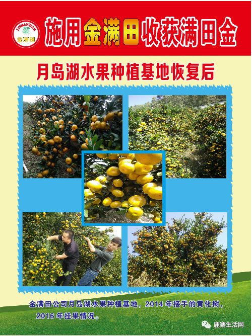 是什么讓這個基地碩果累累？鹿寨柑橘大咖現場授課，誠邀您來參加